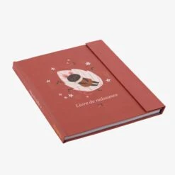 Moulin Roty Livre De Naissance (80 Pages) -Moulin Roty 715600 10 gris