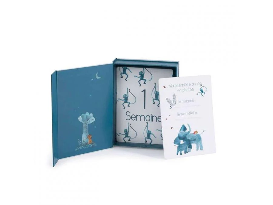 Moulin Roty 669749 - Cartes Mes 12 Premiers Mois Sous Mon Baobab (30 Cartes) 5 Moulin Roty 669749 - Cartes Mes 12 Premiers Mois Sous Mon Baobab (30 Cartes) – Image 3