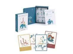 Moulin Roty 669749 - Cartes Mes 12 Premiers Mois Sous Mon Baobab (30 Cartes)