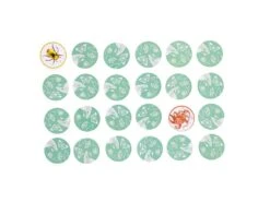 Moulin Roty 719364 - Mémory Des Animaux Tout Autour Du Monde 10 Moulin Roty 719364 - Mémory Des Animaux Tout Autour Du Monde -Moulin Roty moulin roty 719364 memory des animaux tout autour du monde 1600 3